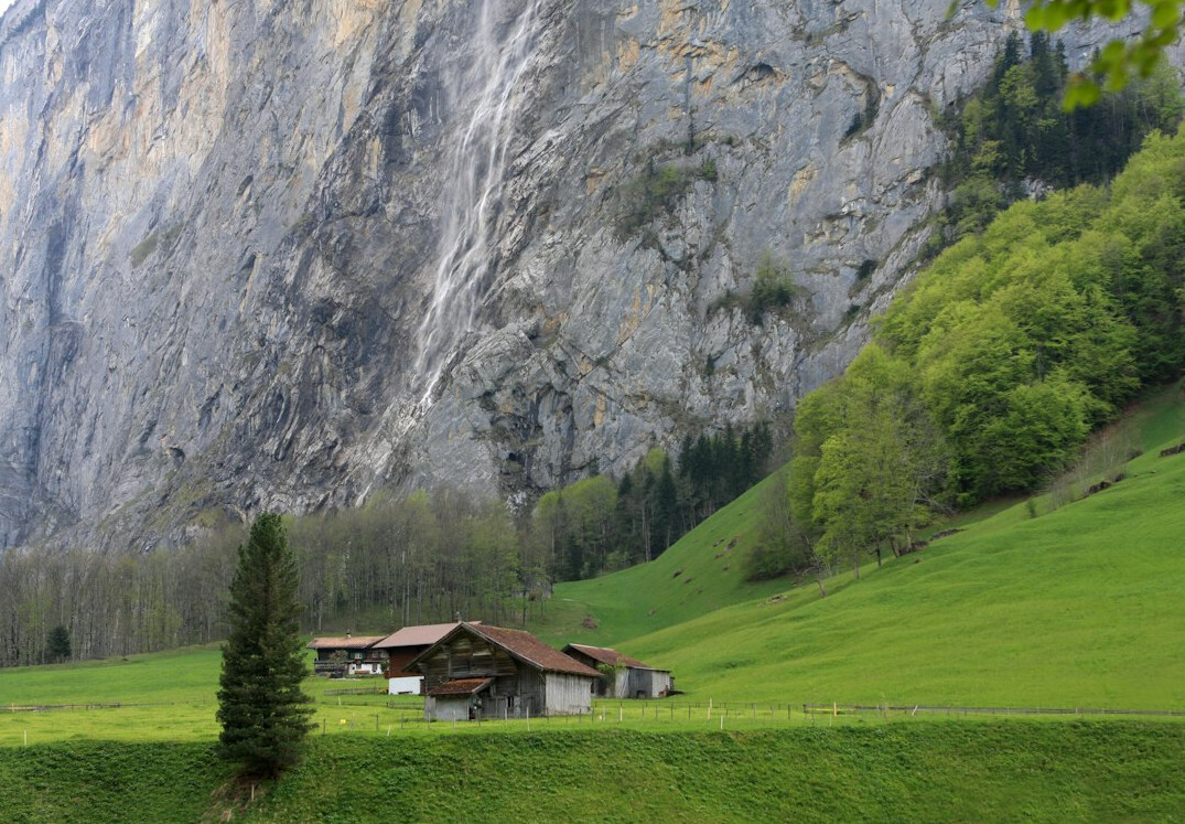 swiss corporate giants