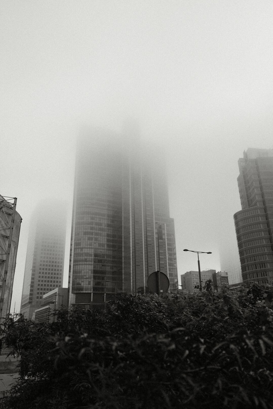 Foggy city skyline with office towers